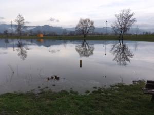 Hochwassersee18a