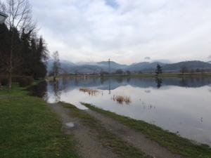 Hochwasser Januar 2018