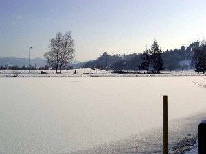 Winter am See